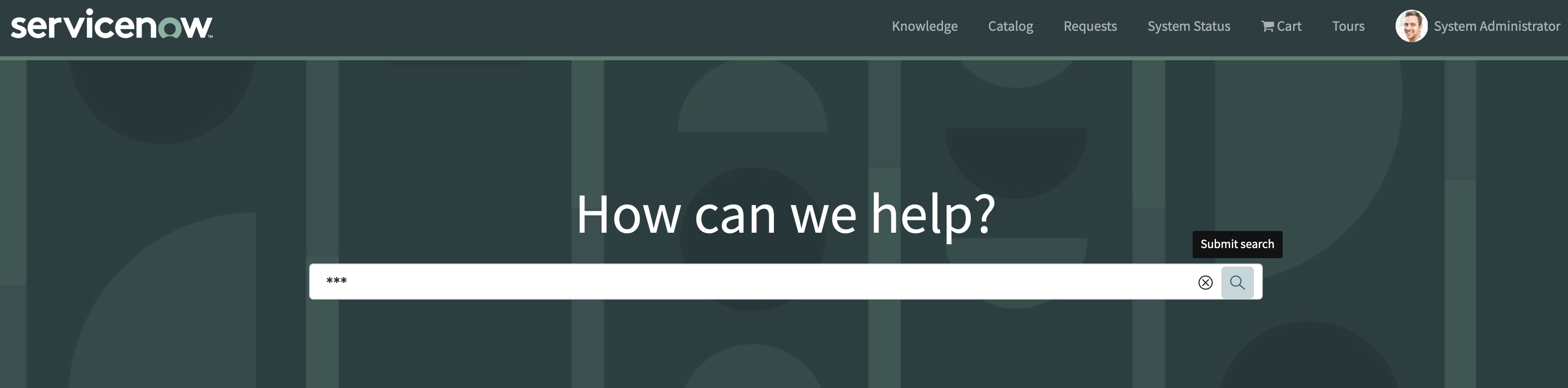 Service Portal Search